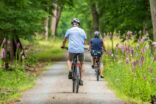 Bild für فصل بهار: از دوچرخه‌سواری در دل طبیعت تا مقابله با حساسیت‌های موسمی
