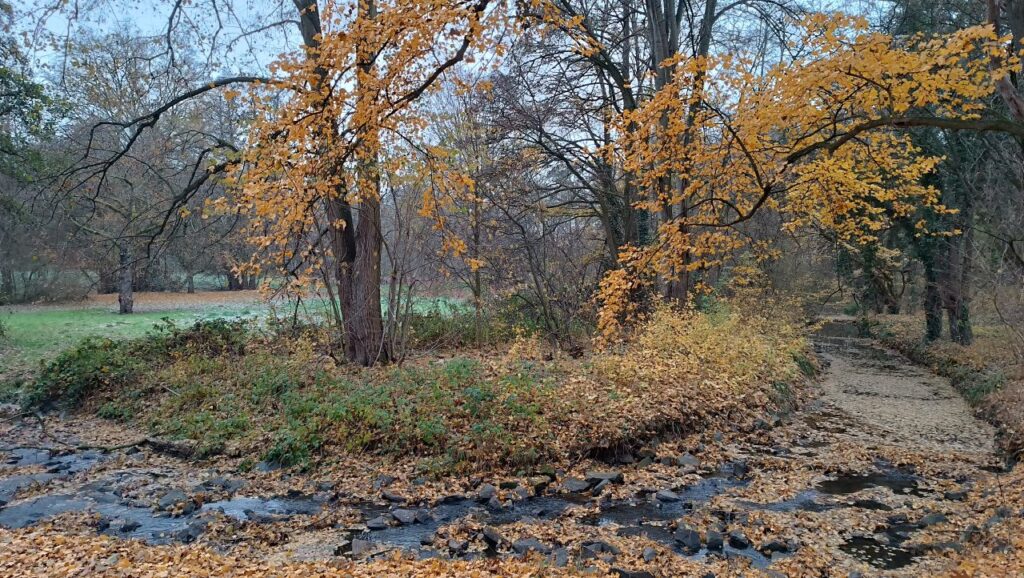 پائیز در هسن