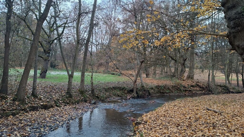 پائیز درهسن