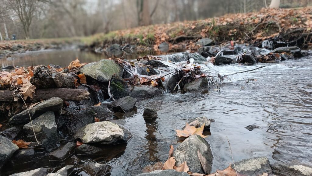 پائیز در‌هسن