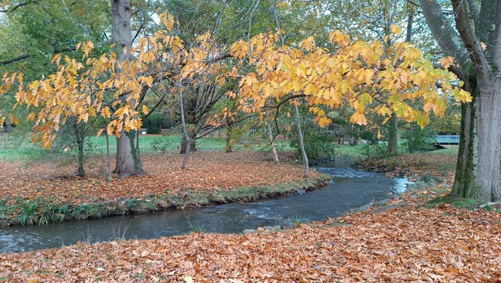 پائیز در‌هسن