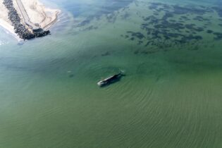 Bild für Драма в Балтиці: кит застряг на мілині біля узбережжя Німеччини